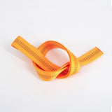 NewDoar 1 inch Nylon Tubular Webbing Tube Webbing (30 Yard)