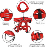 NewDoar CE certified Climbing Harness-Red